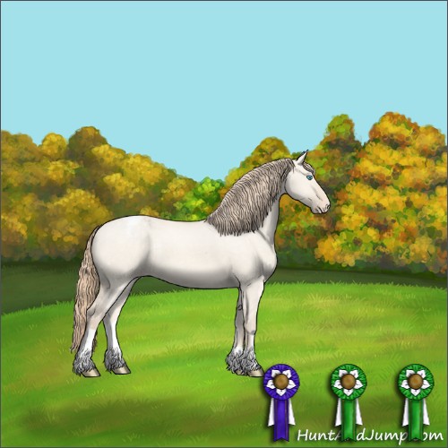 Horse Color:Perlino Dun Appaloosa 