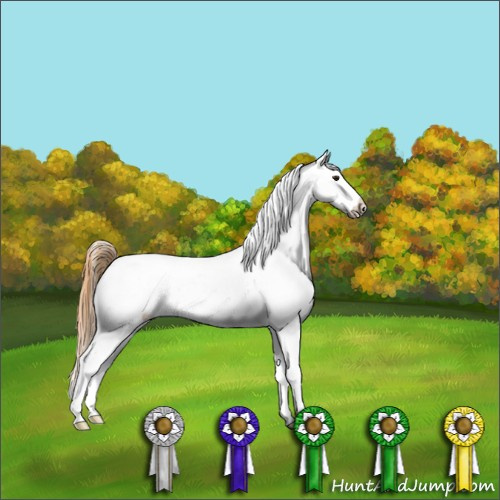 Horse Color:Buckskin Dun Snowcap 