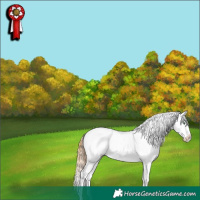 Horse Color:Sable Cream Champagne Dun Appaloosa 