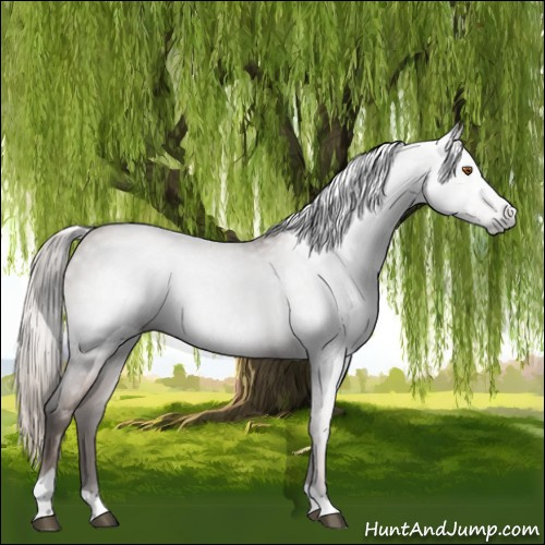Horse Color:Gray Silver Black Pearl Tobiano 