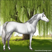 Horse Color:Gray Silver Black Pearl Tobiano 