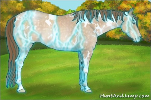 Horse Color:Thunderstruck White Spotted Buckskin Roan Pearl 
