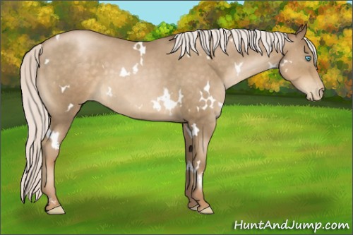 Horse Color:White Spotted Silver Smoky Blue Roan Pearl 
