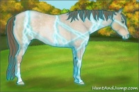 Horse Color:Thunderstruck Smoky Blue Roan Pearl Sabino 