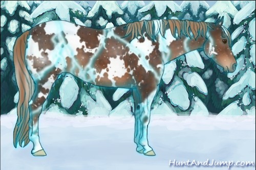 Horse Color:Thunderstruck White Spotted Liver Chestnut 