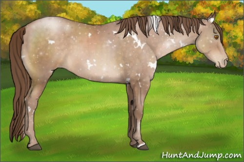 Horse Color:White Spotted Brown Roan Pearl 