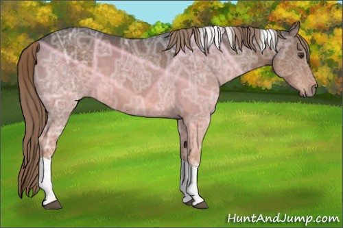 Horse Color:Liver Chestnut Ice Tobiano 