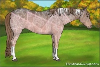Horse Color:Liver Chestnut Ice Tobiano 