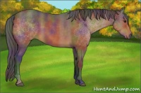 Horse Color:Nacre Brown 