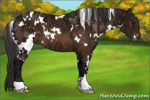 Horse Color:White Spotted Buckskin Ice Rabicano 
