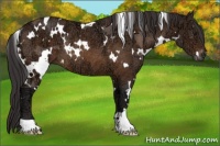 Horse Color:White Spotted Buckskin Ice Rabicano 