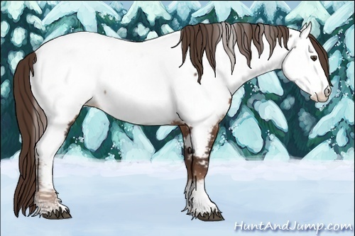 Horse Color:Liver Chestnut Tobiano Near Fewspot 
