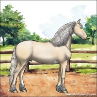 Horse Color:Silver Buckskin Pearl Rabicano 