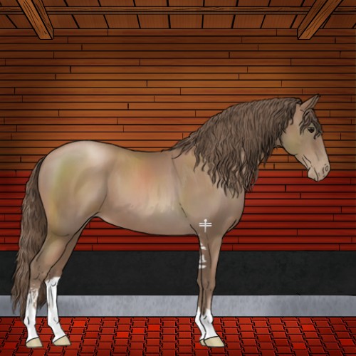 Horse Color:Black Pearl Sabino 