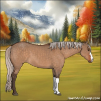 Horse Color:Silver Brown Dun