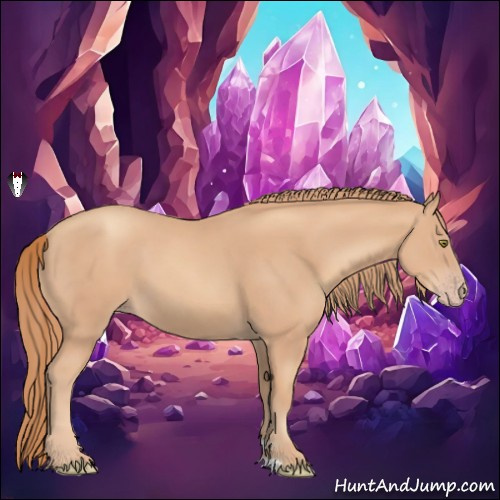 Horse Color:Gold Champagne 
