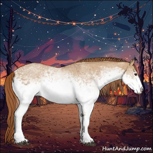 Horse Color:White Spotted Red Dun 