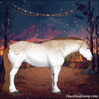 Horse Color:White Spotted Red Dun 
