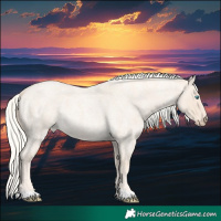 Horse Color:Cremello Roan 