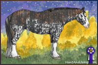Horse Color:Red Roan Sabino Splash and Blue Roan Sabino Splash