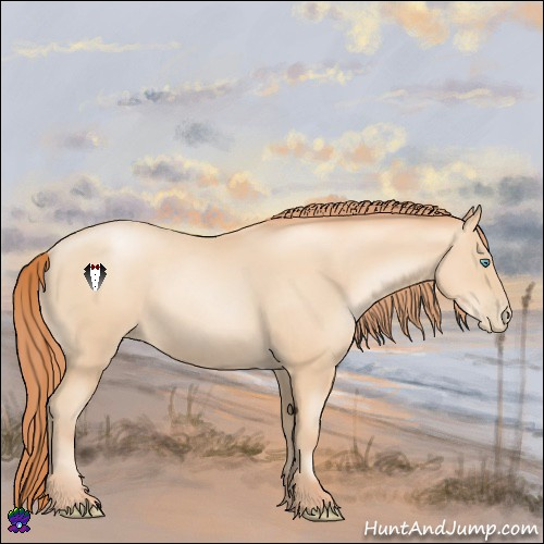 Horse Color:Amber Champagne Pearl 