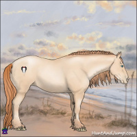 Horse Color:Amber Champagne Pearl 