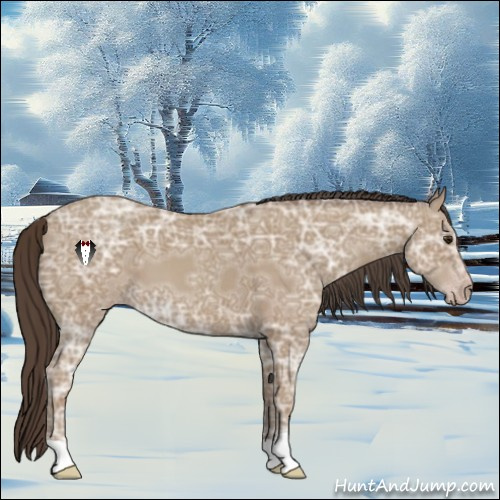 Horse Color:Classic Champagne Ice 
