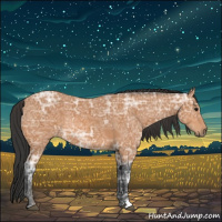 Horse Color:Bay Ice 