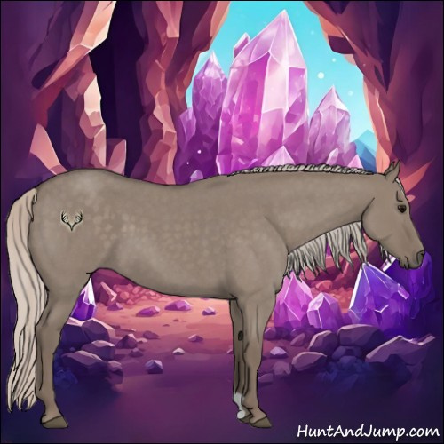 Horse Color:Silver Grullo Roan 
