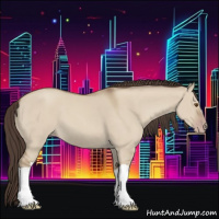 Horse Color:Classic Champagne Dun 