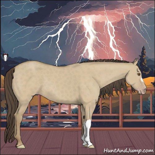 Horse Color:Classic Cream Champagne Dun 