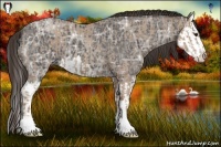 Horse Color:Classic Champagne Roan and Smoky Black Ice Sabino Splash
