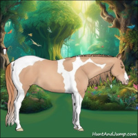 Horse Color:Gold Champagne Tobiano 