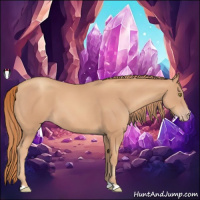 Horse Color:Gold Champagne 