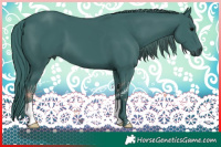 Horse Color:Watercolor Black 