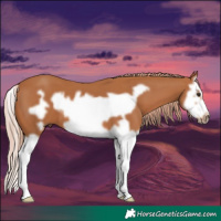 Horse Color:Chestnut Splash Frame