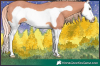 Horse Color:Watercolor Chestnut Splash Frame Rabicano