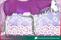Horse Color:Watercolor Chestnut Splash 