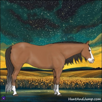 Horse Color:Bay Splash 