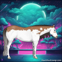 Horse Color:Bay Roan Splash Frame Rabicano 