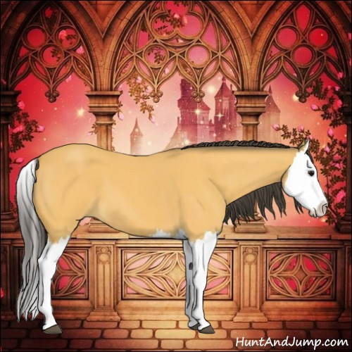 Horse Color:Buckskin Roan Splash