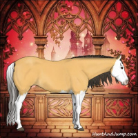 Horse Color:Buckskin Roan Splash 