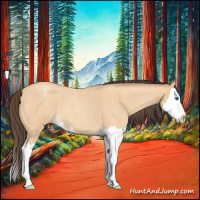Horse Color:Amber Champagne Roan Splash 