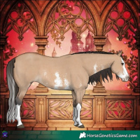 Horse Color:Bay Dun Sabino Splash