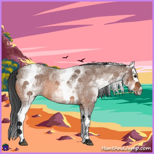 Horse Color:White Spotted Bay Roan Splash