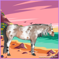 Horse Color:White Spotted Bay Roan Splash 