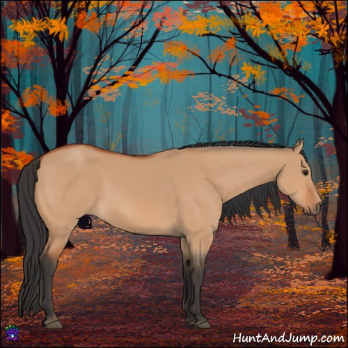 Horse Color:Bay Dun 