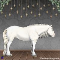 Horse Color:Amber Cream Champagne Pearl Tobiano 