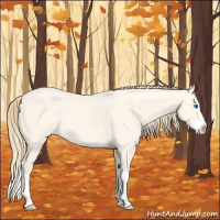 Horse Color:Perlino Roan Dun Splash 