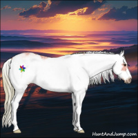 Horse Color:Watercolor Chestnut Sabino Frame 